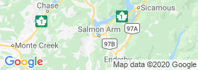 Salmon Arm map